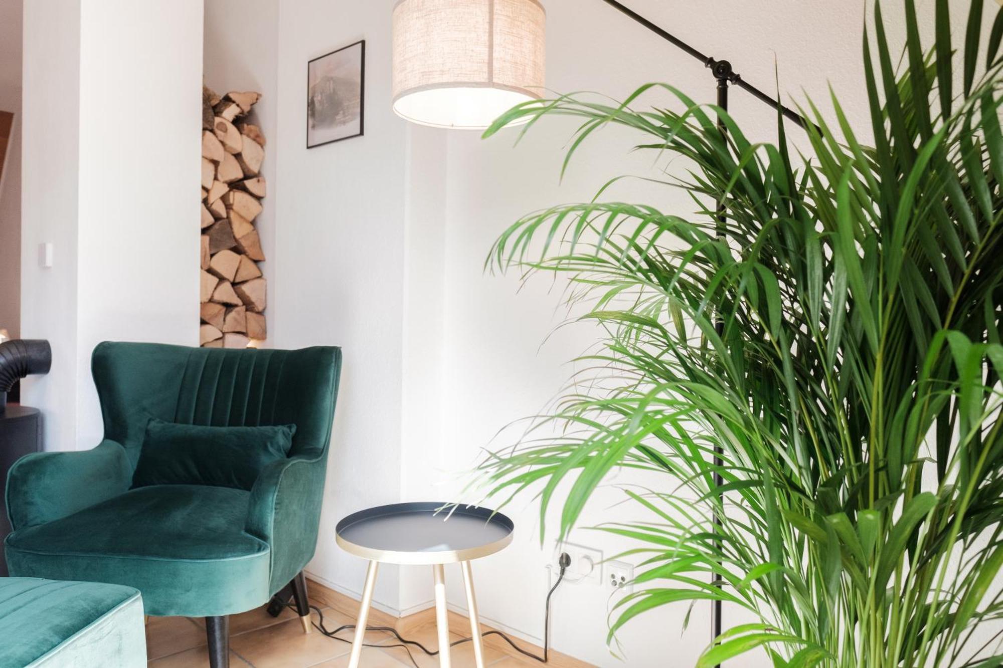 Neu Deluxe Suite Muensterblick, Maisonette, Kingsize Bett, Kueche, Netflix, Aussicht, E-Kamin Bad Säckingen Esterno foto