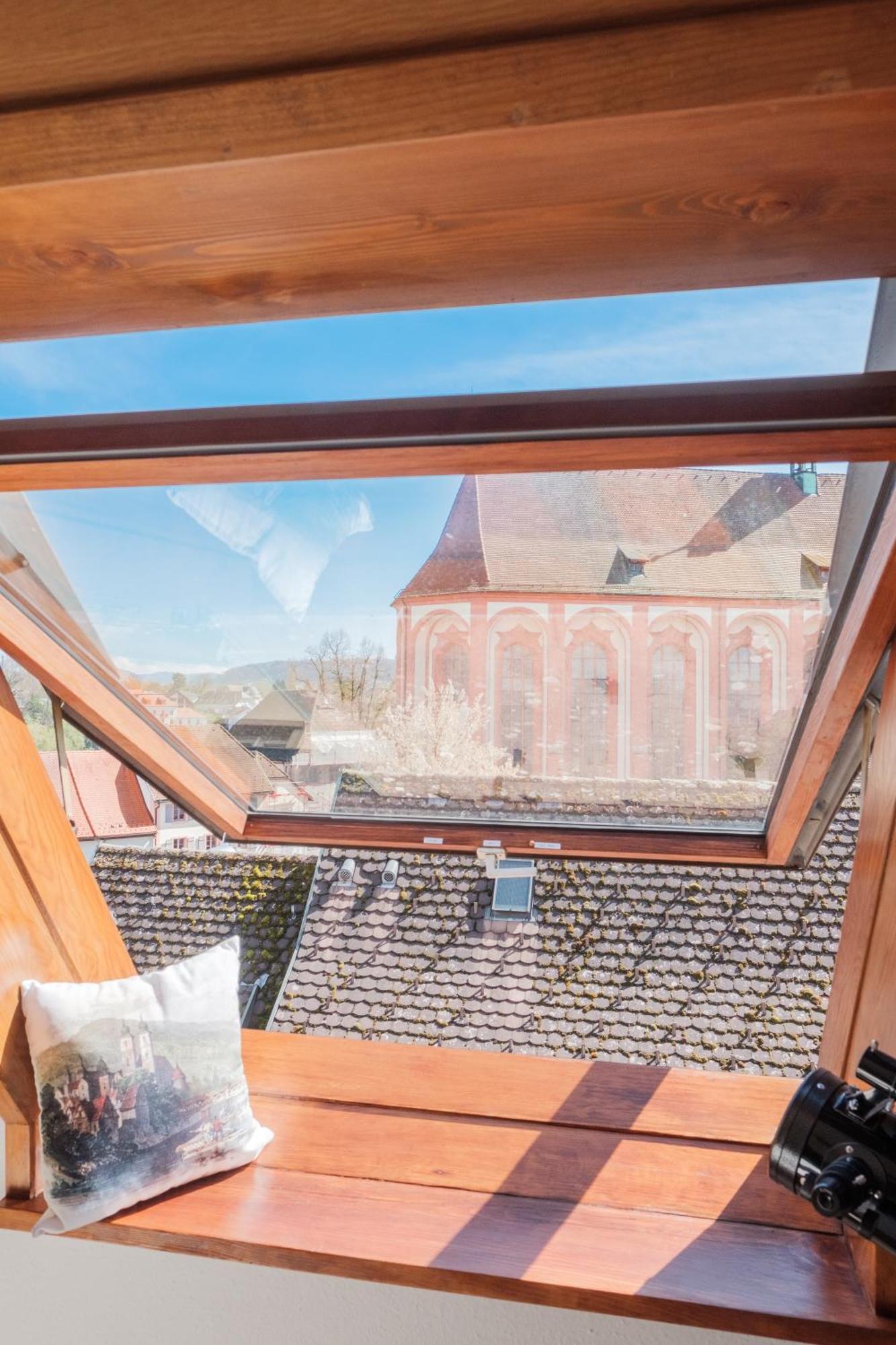 Neu Deluxe Suite Muensterblick, Maisonette, Kingsize Bett, Kueche, Netflix, Aussicht, E-Kamin Bad Säckingen Esterno foto
