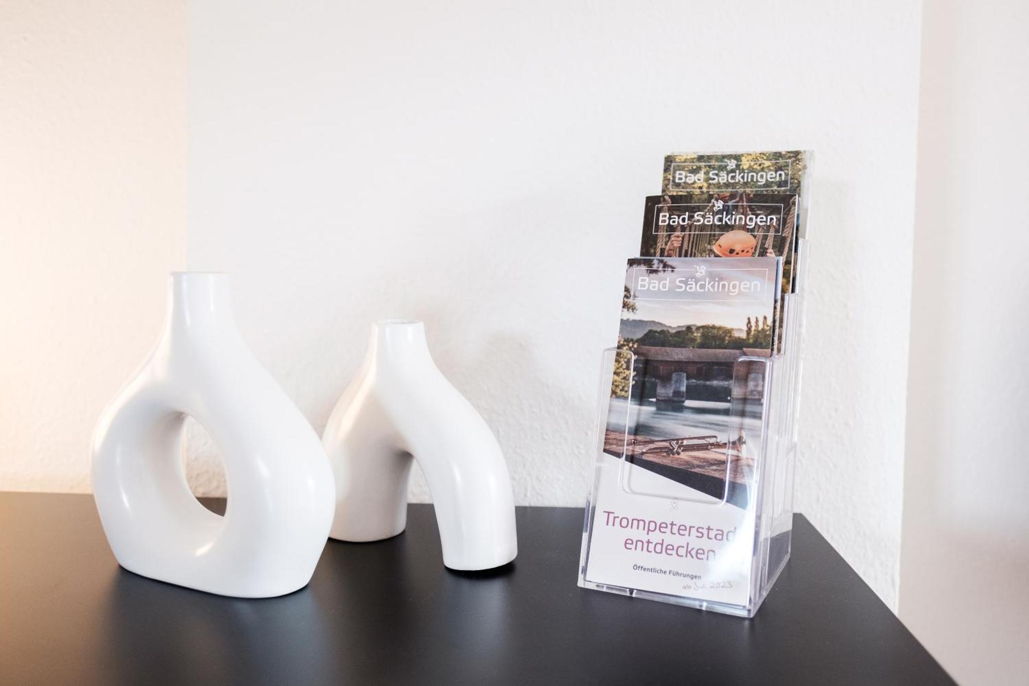 Neu Deluxe Suite Muensterblick, Maisonette, Kingsize Bett, Kueche, Netflix, Aussicht, E-Kamin Bad Säckingen Esterno foto
