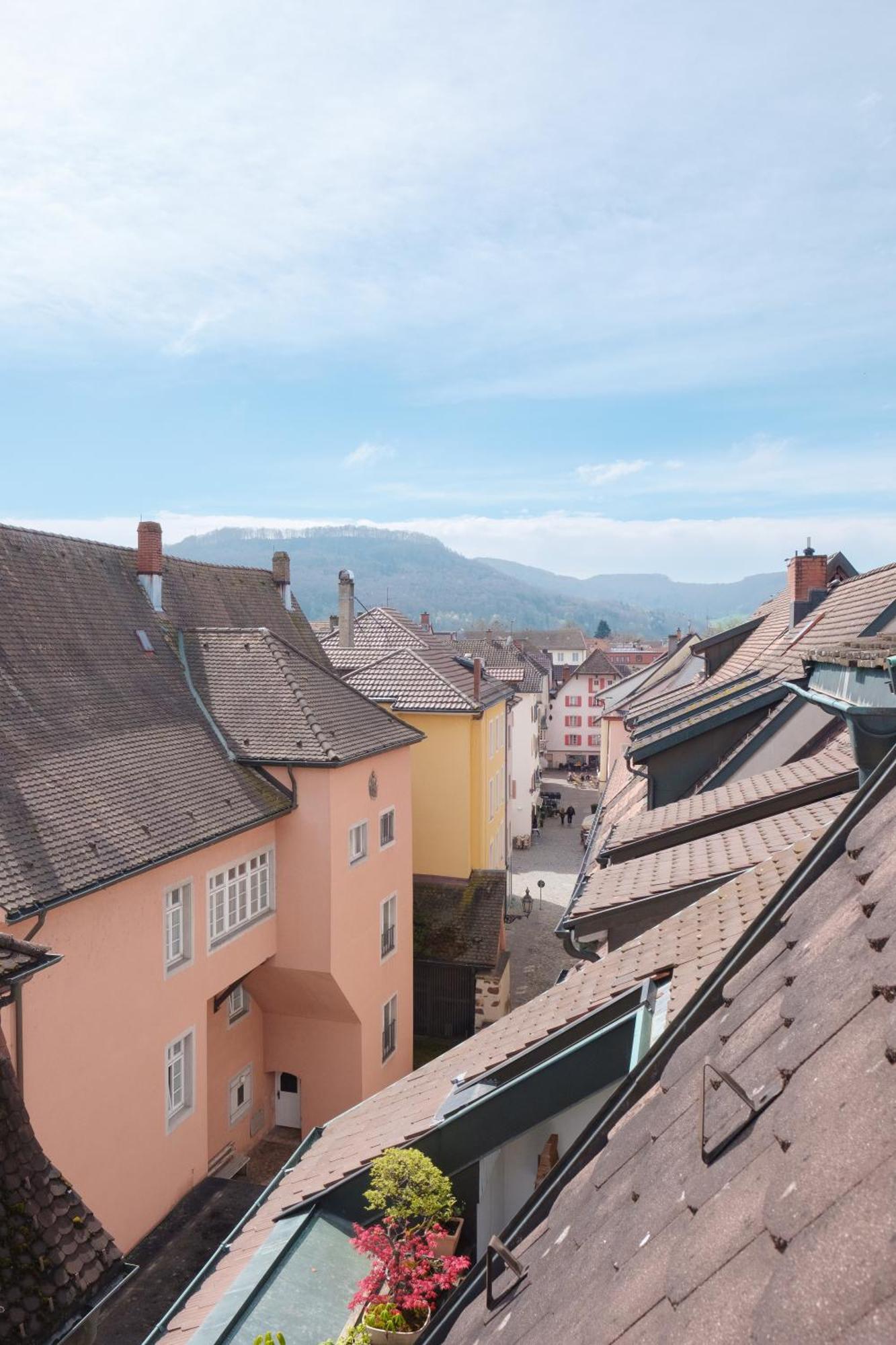 Neu Deluxe Suite Muensterblick, Maisonette, Kingsize Bett, Kueche, Netflix, Aussicht, E-Kamin Bad Säckingen Esterno foto