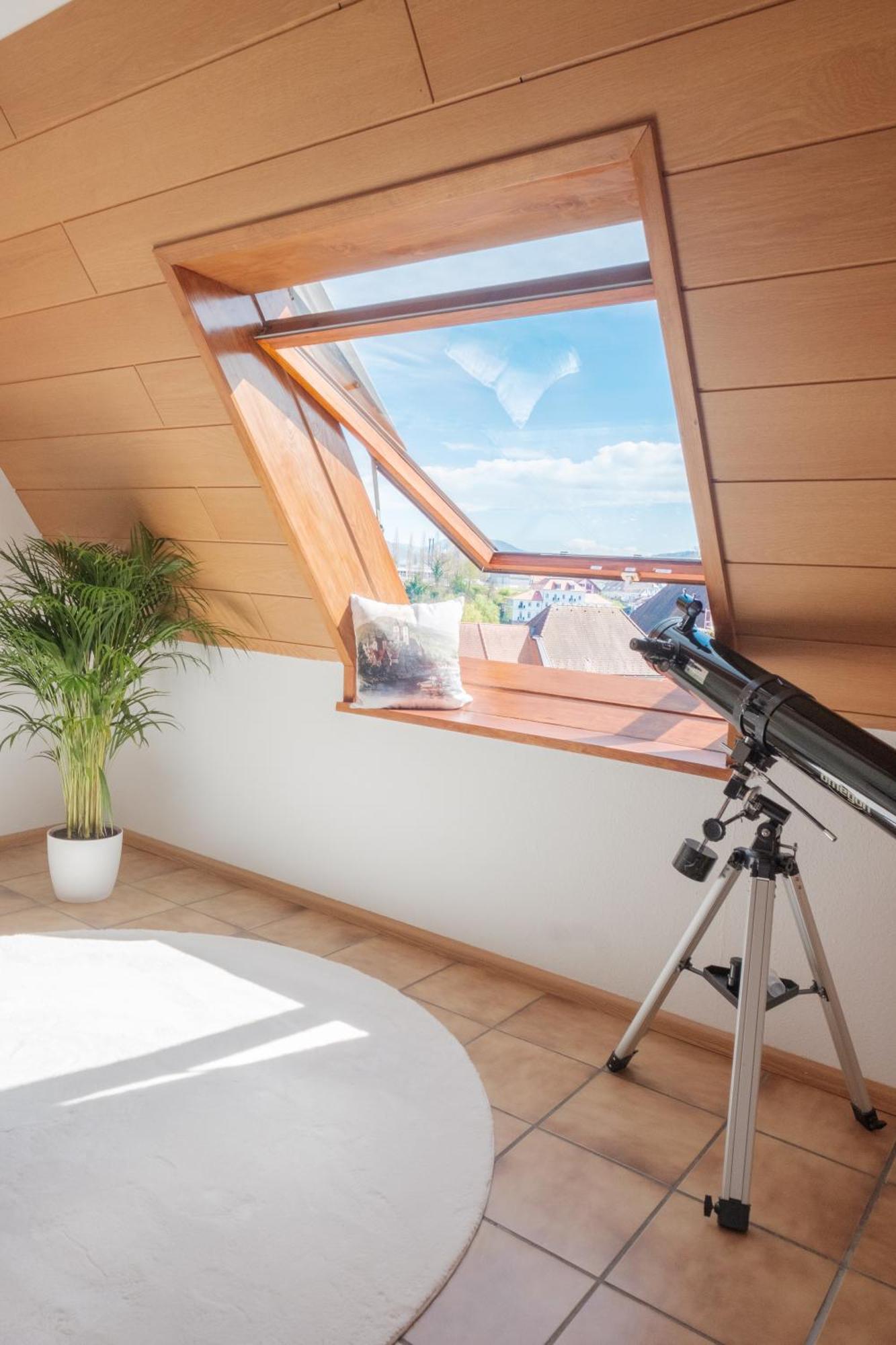 Neu Deluxe Suite Muensterblick, Maisonette, Kingsize Bett, Kueche, Netflix, Aussicht, E-Kamin Bad Säckingen Esterno foto